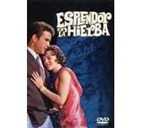 La Fièvre Dans Le Sang (Splendor In The Grass)