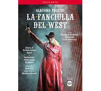 La fille du Far-West
