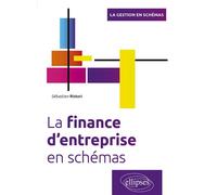 La finance d'entreprise en schémas - Sébastien Ristori - Ellipses - broché - Guide