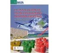 La Financiacion De Las Multinacionales Hoteleras Espanolas Marâia Jesâus Such Devesa (Auteur)