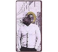 La Finesse Décoratif Tête Animal imprimée Aimant de réfrigérateur pour Maison, 5 cm x 10 cm