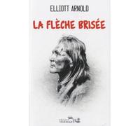 La flèche brisée: Le roman de Cochise