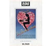 La Flor De Mi Secreto (1995) Director: Pedro Almodóvar (Dvd + Livret) (Pas de...