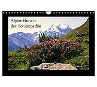 La flore alpine en homéopathie, Version française (Calendrier mural 2026 DIN A4 portrait), Calendrier CALVENDO mensuel