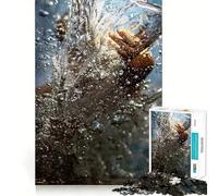 La Foi de Pierre ﹨u La Main de Jésus Puzzle 1000 Pièces pour Adolescents Améliore la Mémoire Détente Mentale Sharp Edge Cadeau Créatif (38x52cm)