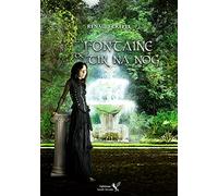 La fontaine de Tir Na Nog