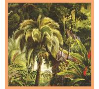 La Foret/Vinyle Couleur Tourbillon Couche de Soleil