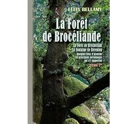 La forêt de Brocéliande: La forêt de Brécheliant, la Fontaine de Bérenton quelques lieux d'alentour, les principaux personnages qui s'y rapportent, Tome 1