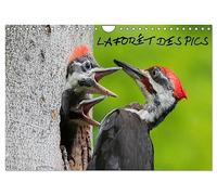 LA FORÊT DES PICS (Calendrier mural 2027 DIN A4 vertical), CALVENDO calendrier mensuel: 13 photos des pics de la forêt québécoise.
