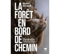 La Forêt En Bord De Chemin