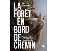 La Forêt En Bord De Chemin
