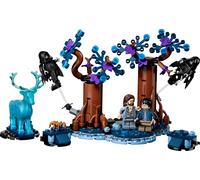 La Forêt interdite: Expecto Patronum
