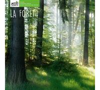 La forêt - Léa Schneider - Acces Editions - cartonné - Document jeunesse