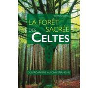 La forêt sacrée des Celtes : du paganisme au christianisme