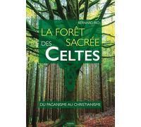 La forêt sacrée des Celtes : du paganisme au christianisme