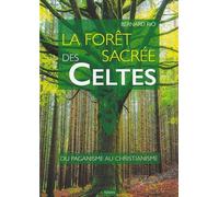 La forêt sacrée des Celtes : du paganisme au christianisme