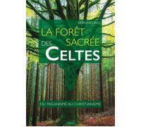 La forêt sacrée des Celtes : du paganisme au christianisme