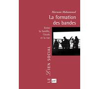 La formation des bandes: Entre la famille, l'école et la rue