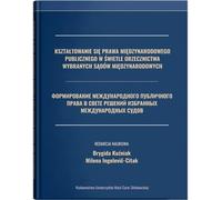 La formation du droit international public à la lumière de la jurisprudence de certaines cours internationales