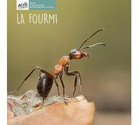 La fourmi