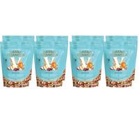 La Fourmi - Grand Granola Vitalia - Granola canneberges séchées, amandes grillées, pommes séchées et flocons d’avoine - 80% d’ingrédients bio - Naturel - granola bio (Lot de 2)