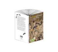 La fourmi moissonneuse Messor barbarus, biologie et soins