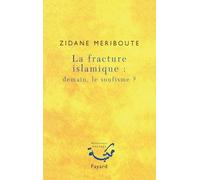 La fracture islamique : demain le soufisme ?