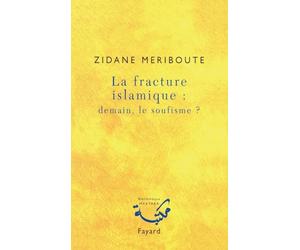 La fracture islamique : demain le soufisme ?
