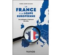 La France à la loupe européenne Pierre Buigues (Auteur)