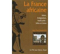 La France africaine-Islam,intégration, insécurité : Info ou intox - Essai