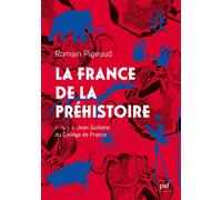 La France de la Préhistoire - Romain Pigeaud - Puf - broché - Monographie