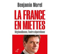 La France en miettes - Régionalismes, l'autre séparatisme
