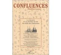 La France et le monde arabe Abderrahim Lamchichi (Auteur)