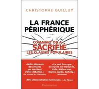 La France périphérique Comment on a sacrifié les classes populaires - Christophe Guilluy - Flammarion - broché - Essai