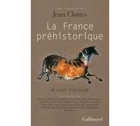 La France préhistorique: Un essai d'histoire