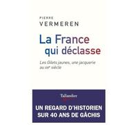 La France qui déclasse: les gilets jaunes, une jacquerie au xxie siècle