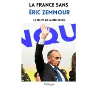 La France sans Éric Zemmour: Le temps de la réflexion
