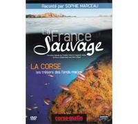 La France Sauvage-La Corse, Les trésors des Fonds Marins