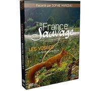 La France Sauvage - Les Vosges, La Forêt Mystérieuse