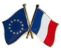 La France & Union Européenne Drapeau de l'amitié Métal Pin Badge Broche