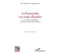 La fraternité, un vaste chantier Une analyse sociopolitique à la lumière de la révélation divine - Frédéric Kurzawa - L'harmattan - broché - Essai