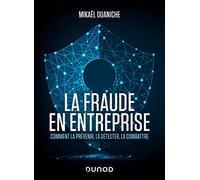 La fraude en entreprise - Nouvelle édition: Comment la prévenir, la détecter, la combattre