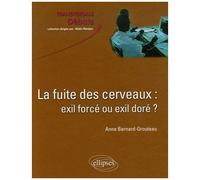 La Fuite Des Cerveaux : Exil Forcé Ou Exil Doré ?