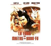 Nice Connection – La Furie du maître de Kung-fu