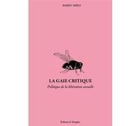 La gaie critique: Politique et libération sexuelle dans les années soixante-dix. Ecrits (1972-1983)