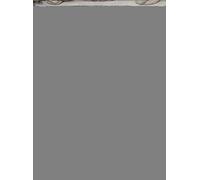 La galerie des Carrache: Histoire et restauration