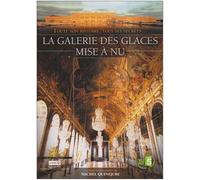 La Galerie des glaces mise à nu