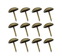 La garniture de 100PCS 10x15mm punit des clous de porte de bronze de meubles autour des goupilles de clou à tête
