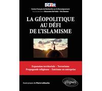 La géopolitique au défi de l'islamisme