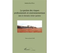 La gestion des risques professionnels et environnementaux Ibrahima Sory N'diaye (Auteur)